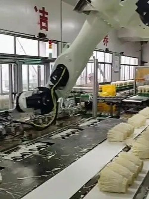 金針菇擺放機器人 華象工業 工廠實拍視頻 自動化生產線 工業機器人 智能制造 自動化設計 科技改變生活